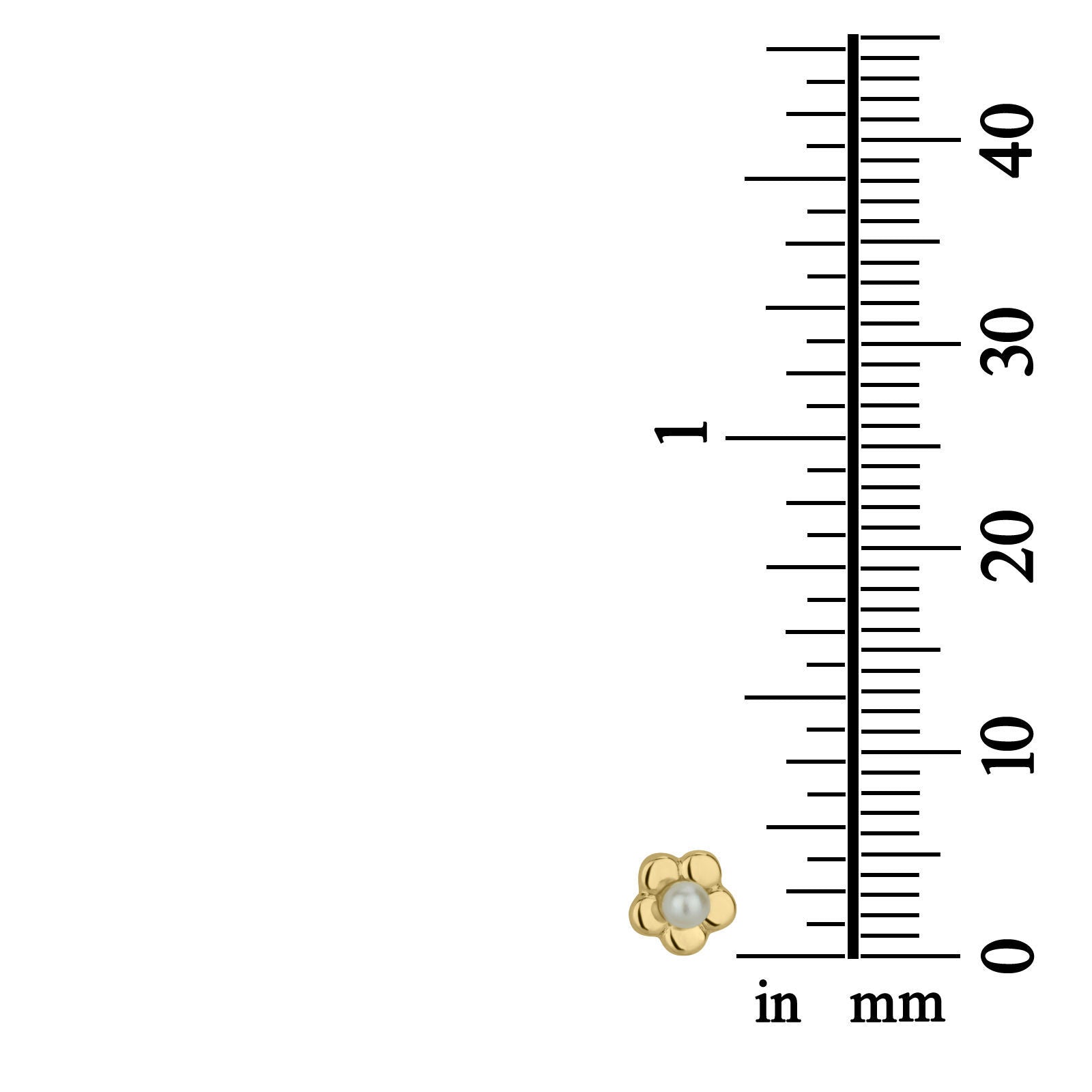 עגילים צמודים מזהב צהוב 14 קראט - פנינה פורחת עגילים צמודים מזהב צהוב 14 קראט - פנינה פורחת