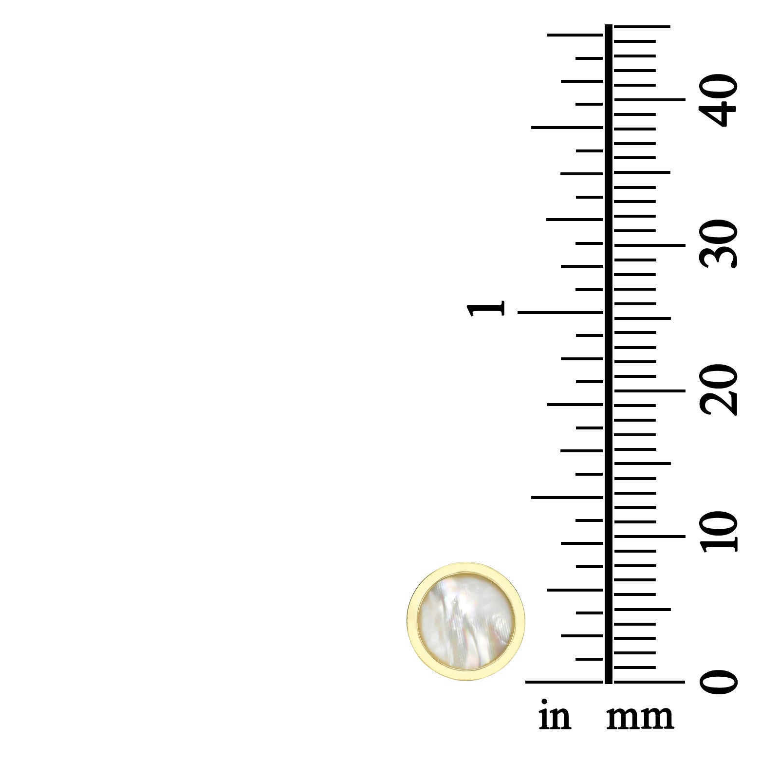 עגילים צמודים מזהב צהוב 14 קראט - צדף עגול עגילים צמודים מזהב צהוב 14 קראט - צדף עגול