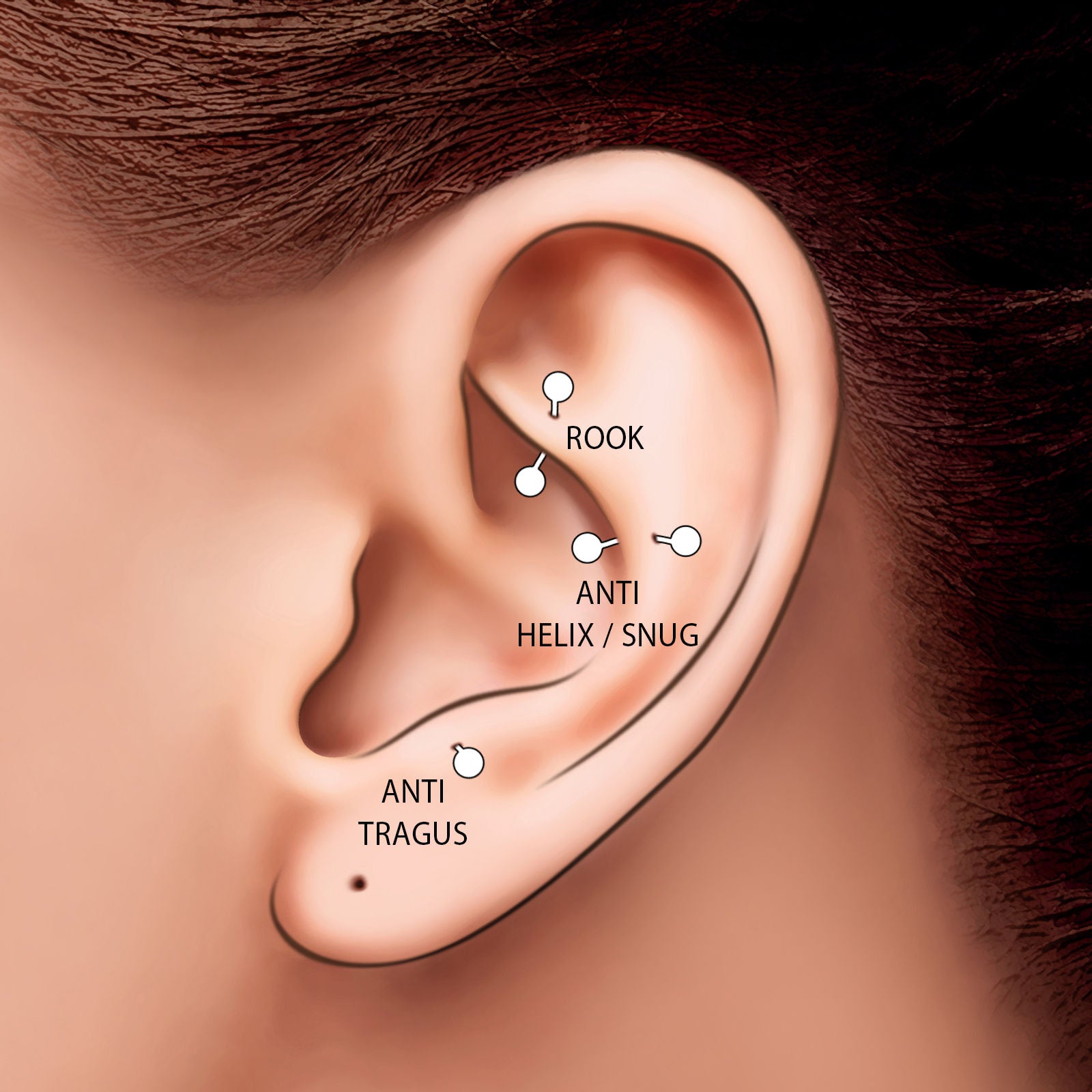 פירסינג לאוזן מזהב ורוד 14 קראט - עגיל בננה פירסינג לאוזן מזהב ורוד 14 קראט - עגיל בננה