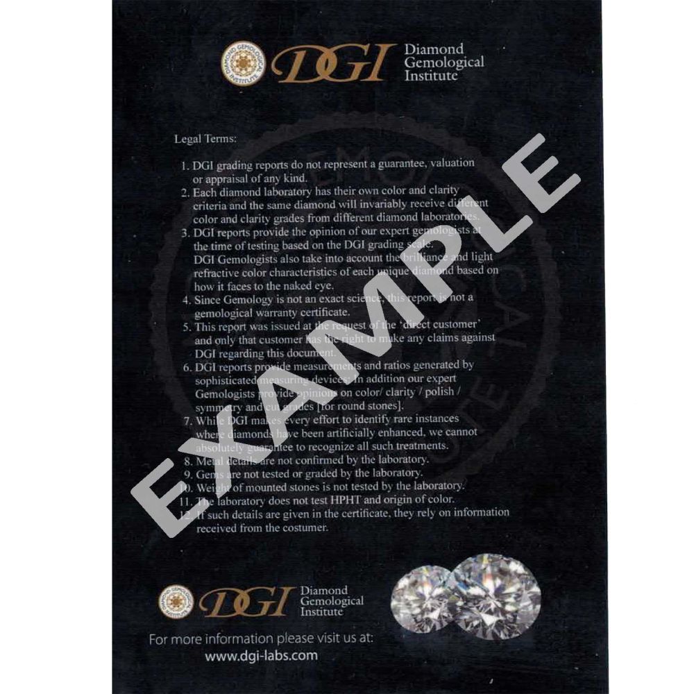 תכשיטי יהלומים | עגילי חישוק יהלומים מזהב לבן 14 קראט - ליידי S
